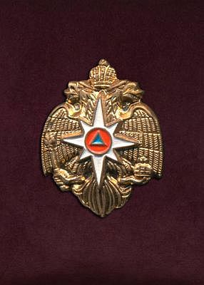 Фрачный знак "МЧС России" (фото, фотография знака)