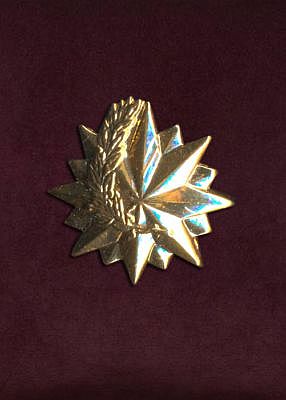 Медаль Фрачный знак "МЧС"